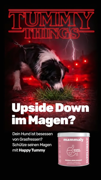 A 9:16 static ad for a dog supplement that uses a dark, lightning-struck visual style to turn the common problem of grass-eating into an urgent, cinematic story.
